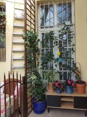 Miodowa Kazimierz Apartment Krakow Dış mekan fotoğraf