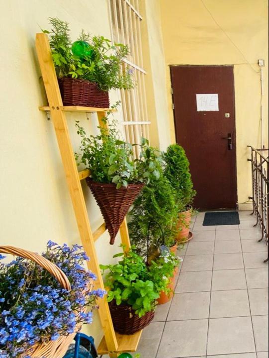 Miodowa Kazimierz Apartment Krakow Dış mekan fotoğraf